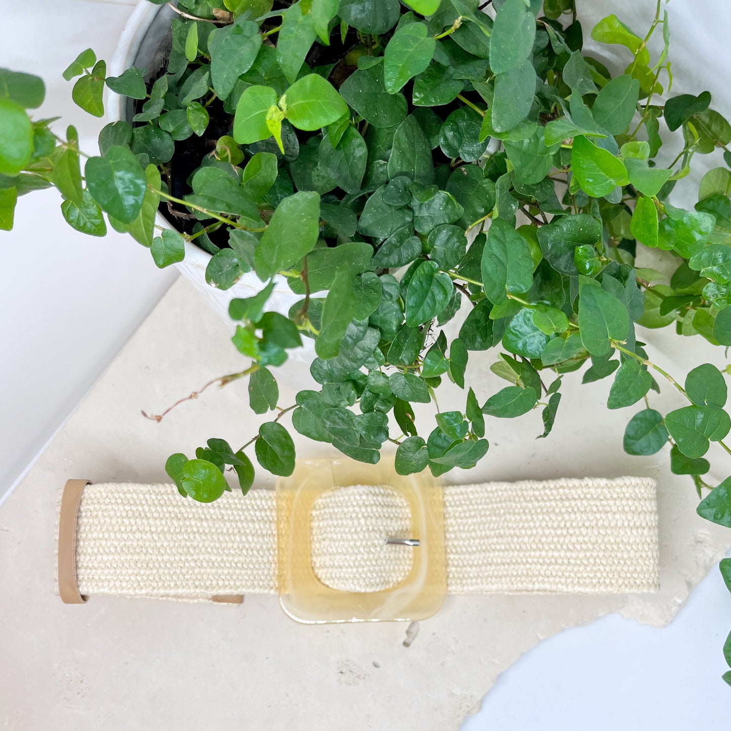 363| LUCY ELASTIC BELT | CREAM