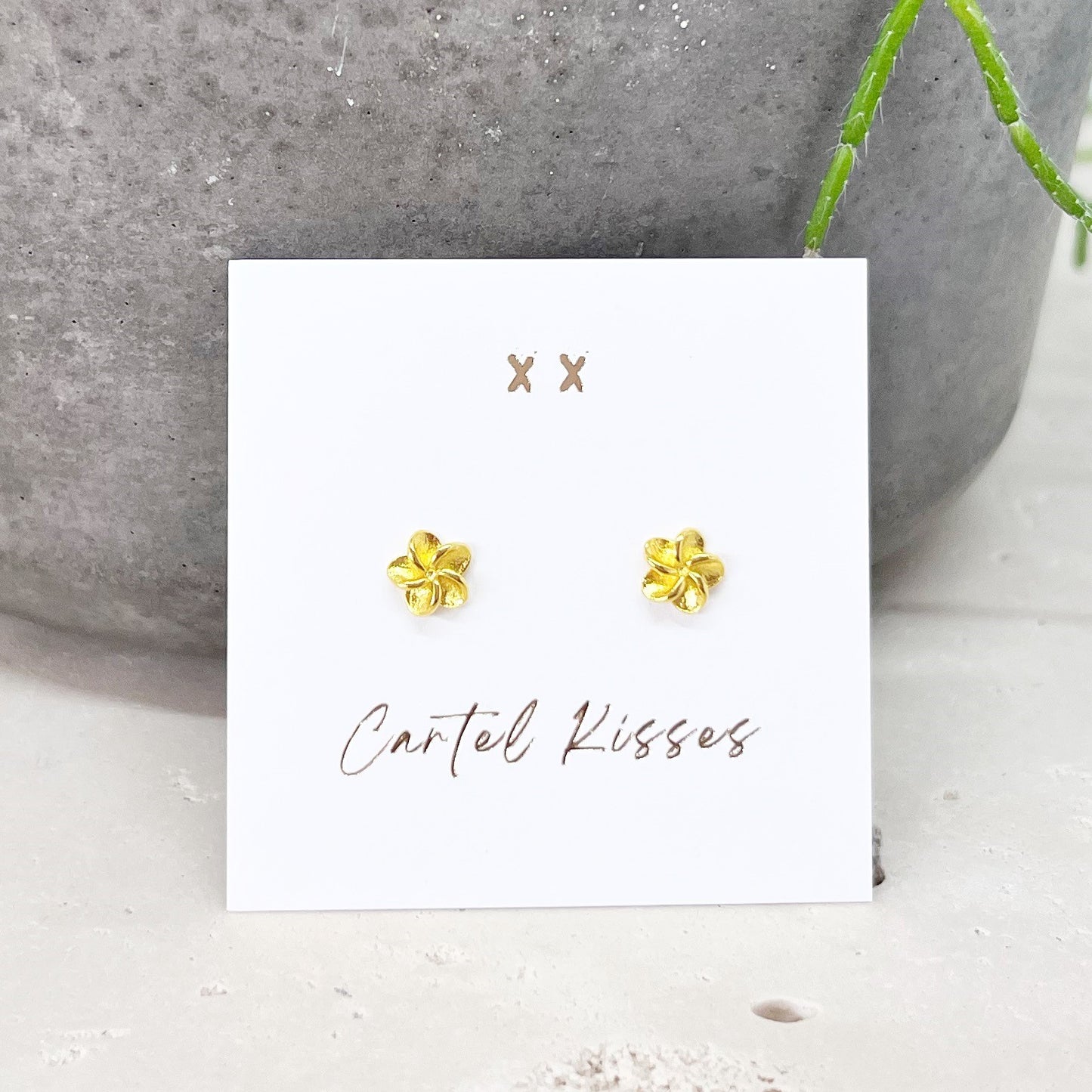 278 | FRANGIPANI | CARTEL KISSES