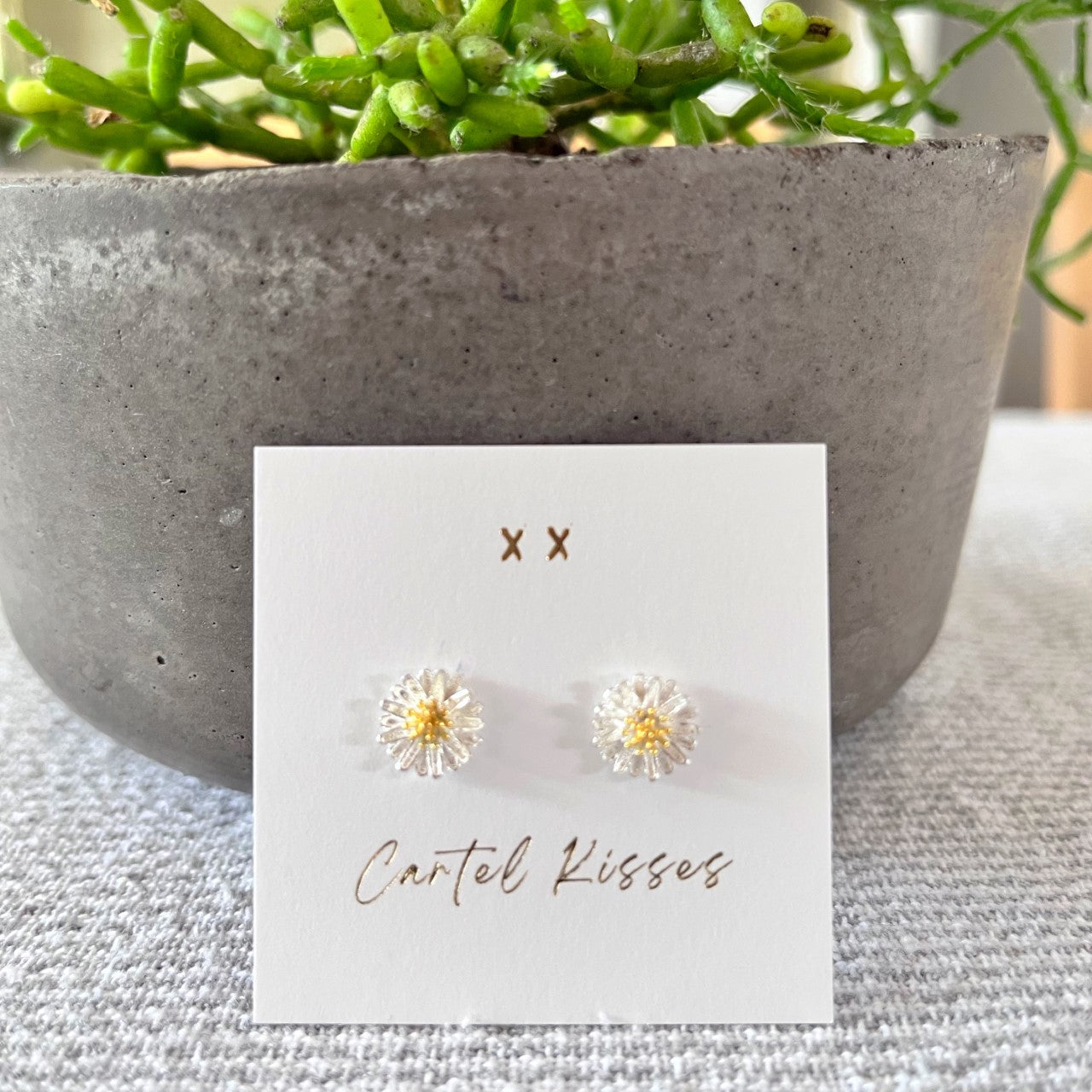 277 | DAISY | CARTEL KISSES